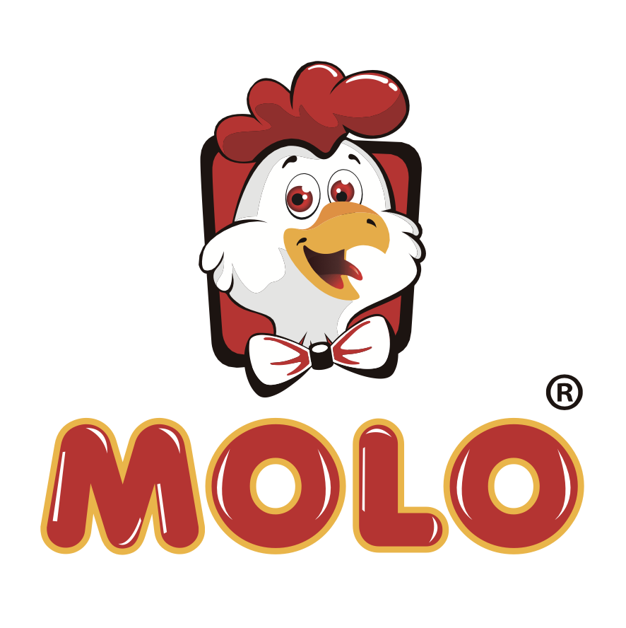 Molo Survey